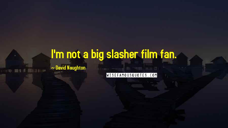 David Naughton Quotes: I'm not a big slasher film fan.