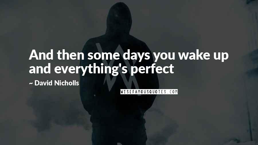 David Nicholls Quotes: And then some days you wake up and everything's perfect