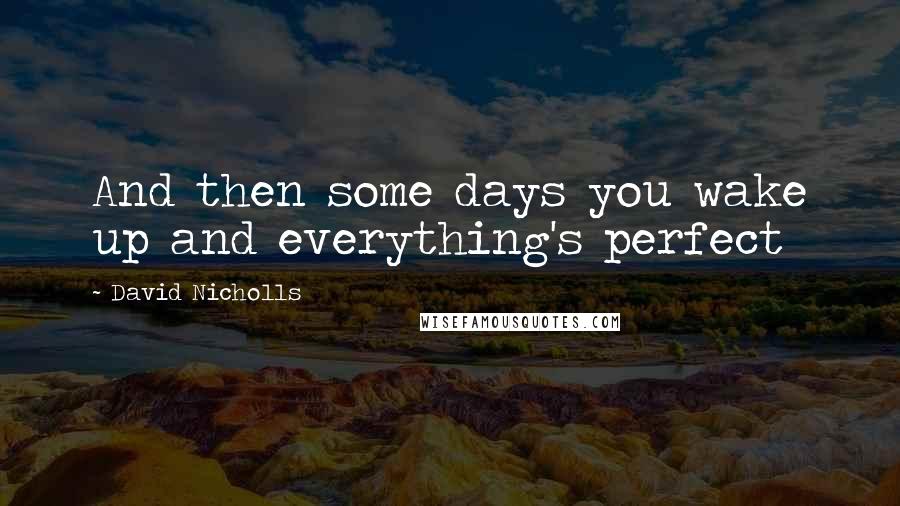 David Nicholls Quotes: And then some days you wake up and everything's perfect