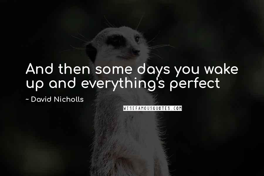 David Nicholls Quotes: And then some days you wake up and everything's perfect