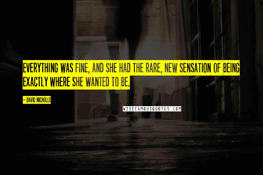 David Nicholls Quotes: Everything was fine, and she had the rare, new sensation of being exactly where she wanted to be.