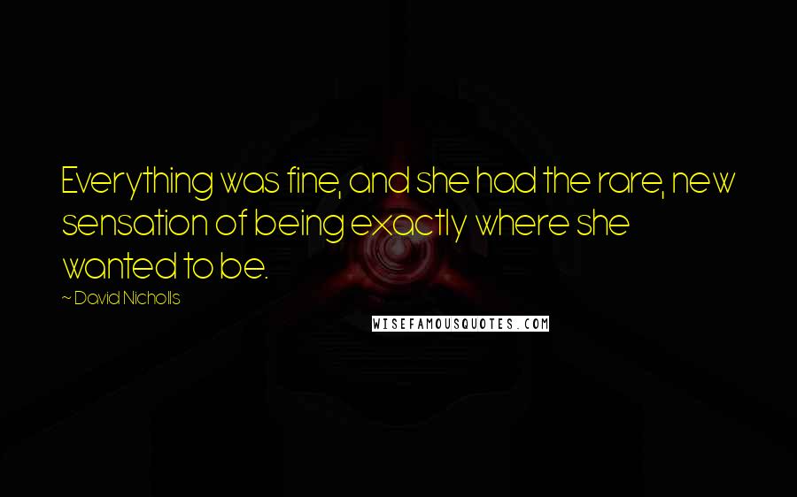 David Nicholls Quotes: Everything was fine, and she had the rare, new sensation of being exactly where she wanted to be.