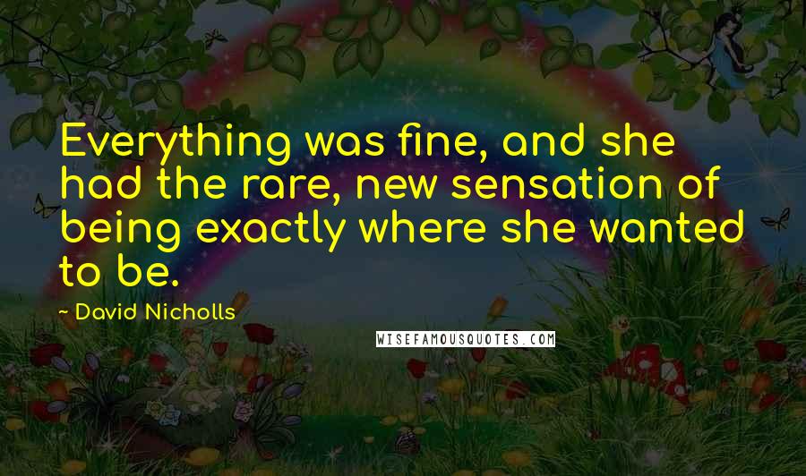 David Nicholls Quotes: Everything was fine, and she had the rare, new sensation of being exactly where she wanted to be.