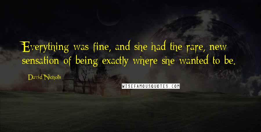 David Nicholls Quotes: Everything was fine, and she had the rare, new sensation of being exactly where she wanted to be.