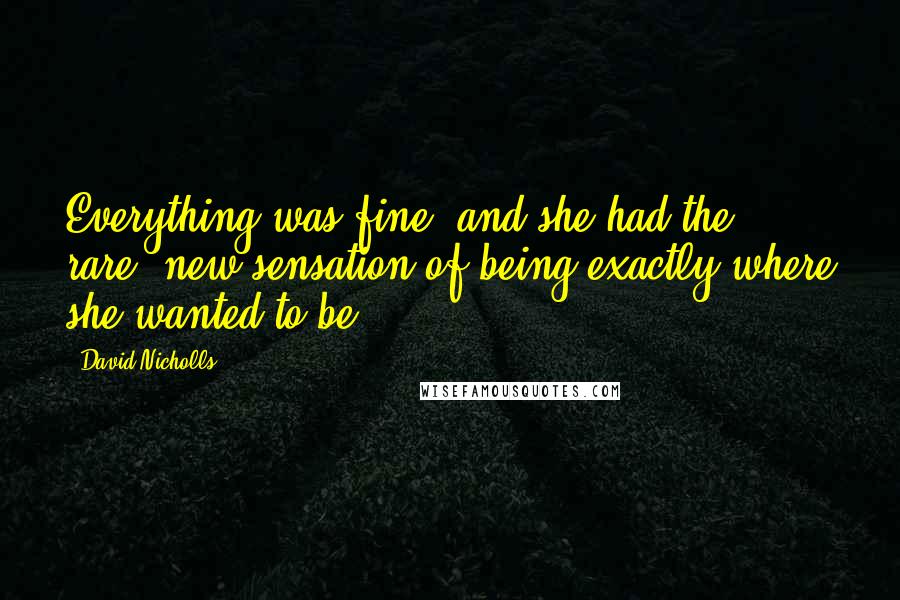 David Nicholls Quotes: Everything was fine, and she had the rare, new sensation of being exactly where she wanted to be.