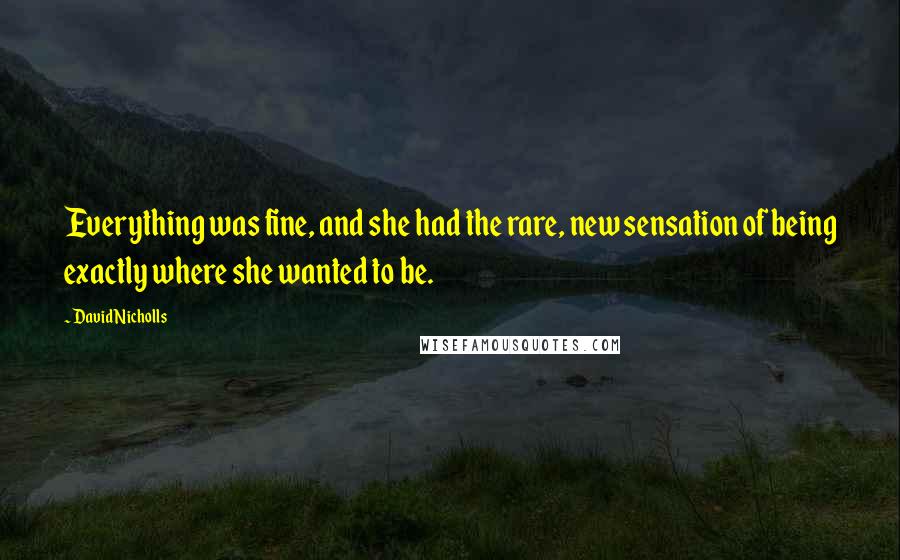 David Nicholls Quotes: Everything was fine, and she had the rare, new sensation of being exactly where she wanted to be.