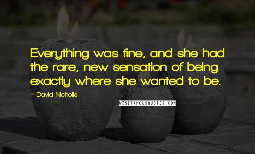 David Nicholls Quotes: Everything was fine, and she had the rare, new sensation of being exactly where she wanted to be.