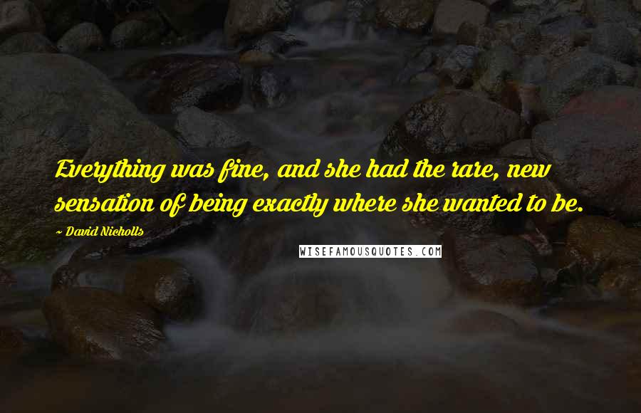 David Nicholls Quotes: Everything was fine, and she had the rare, new sensation of being exactly where she wanted to be.
