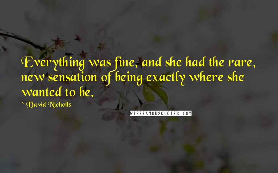 David Nicholls Quotes: Everything was fine, and she had the rare, new sensation of being exactly where she wanted to be.