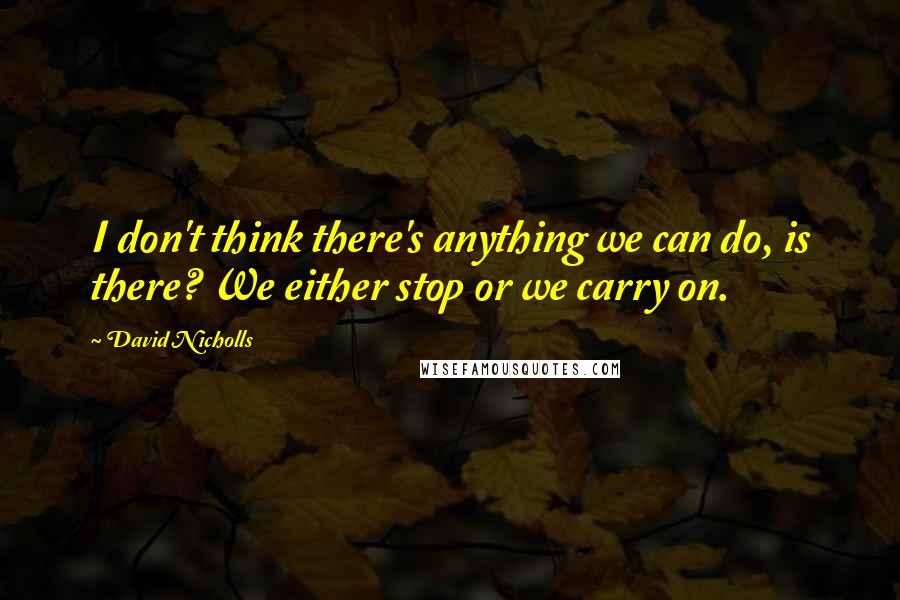 David Nicholls Quotes: I don't think there's anything we can do, is there? We either stop or we carry on.