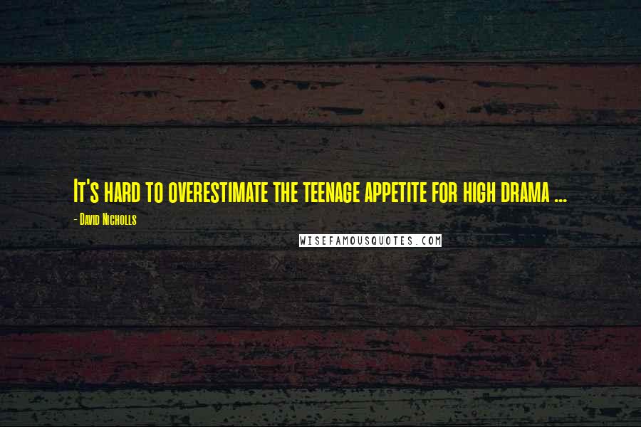 David Nicholls Quotes: It's hard to overestimate the teenage appetite for high drama ...