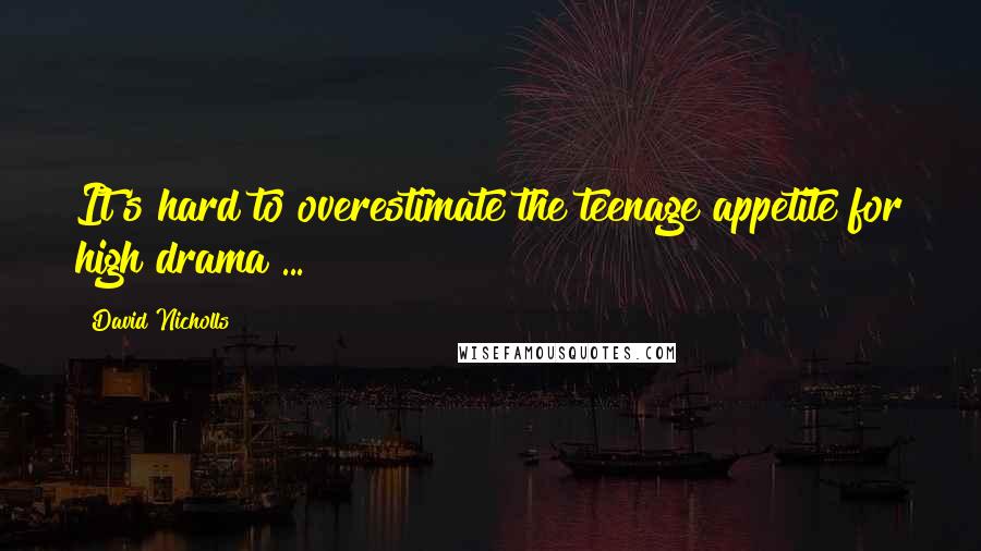 David Nicholls Quotes: It's hard to overestimate the teenage appetite for high drama ...