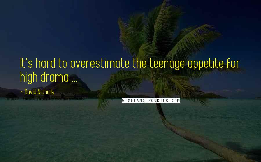 David Nicholls Quotes: It's hard to overestimate the teenage appetite for high drama ...