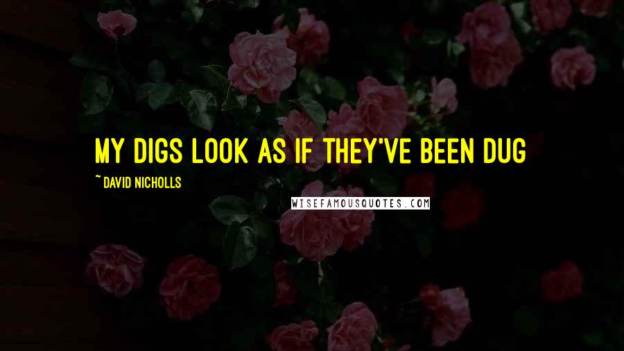 David Nicholls Quotes: my digs look as if they've been dug