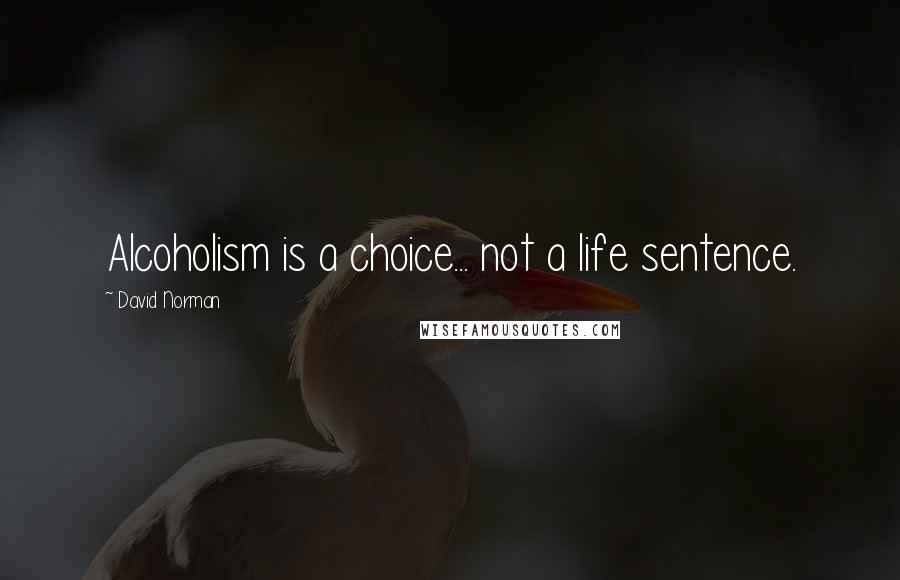 David Norman Quotes: Alcoholism is a choice... not a life sentence.