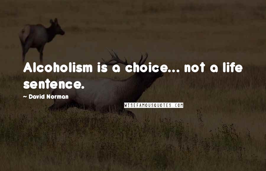 David Norman Quotes: Alcoholism is a choice... not a life sentence.