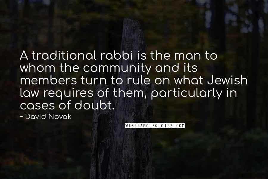 David Novak Quotes: A traditional rabbi is the man to whom the community and its members turn to rule on what Jewish law requires of them, particularly in cases of doubt.