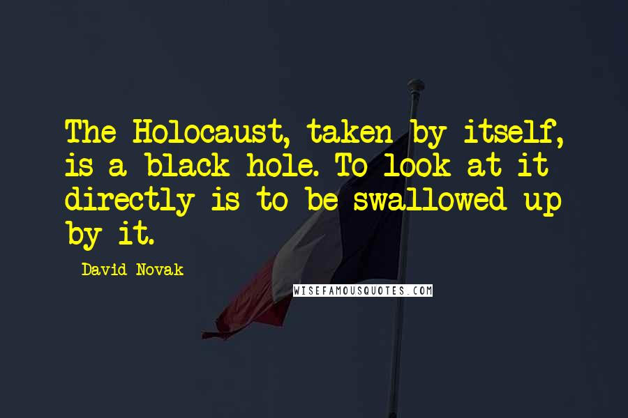David Novak Quotes: The Holocaust, taken by itself, is a black hole. To look at it directly is to be swallowed up by it.