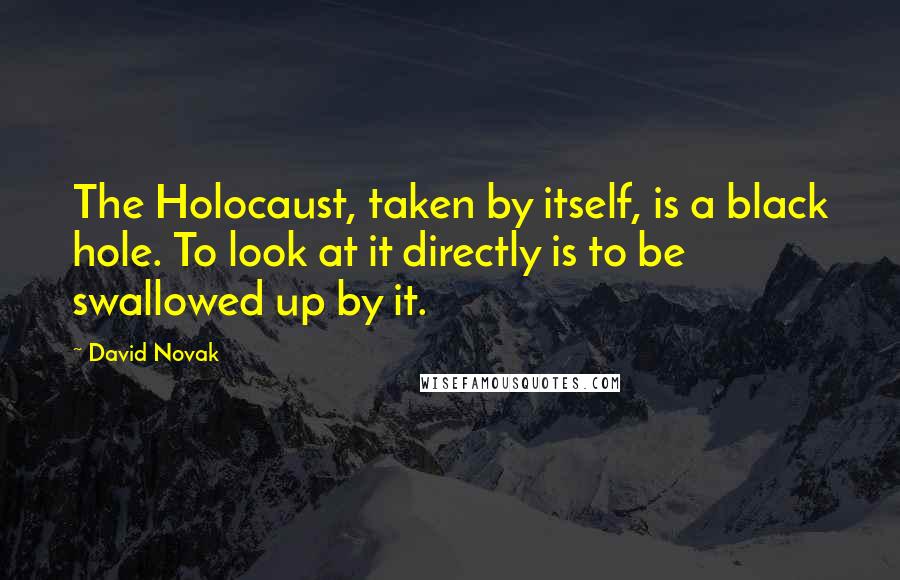 David Novak Quotes: The Holocaust, taken by itself, is a black hole. To look at it directly is to be swallowed up by it.