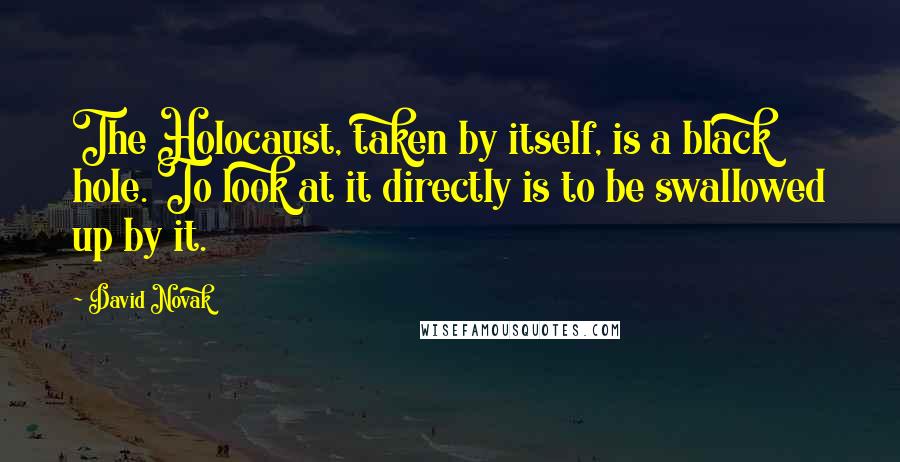 David Novak Quotes: The Holocaust, taken by itself, is a black hole. To look at it directly is to be swallowed up by it.