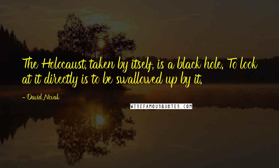 David Novak Quotes: The Holocaust, taken by itself, is a black hole. To look at it directly is to be swallowed up by it.