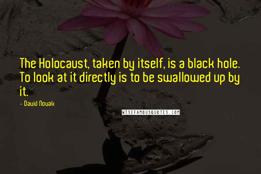 David Novak Quotes: The Holocaust, taken by itself, is a black hole. To look at it directly is to be swallowed up by it.