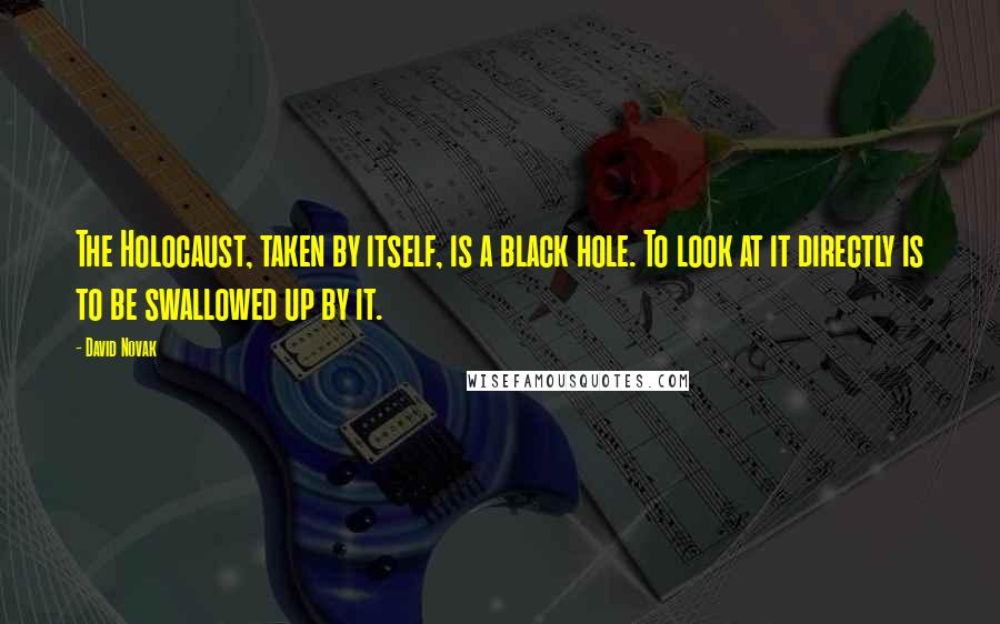 David Novak Quotes: The Holocaust, taken by itself, is a black hole. To look at it directly is to be swallowed up by it.