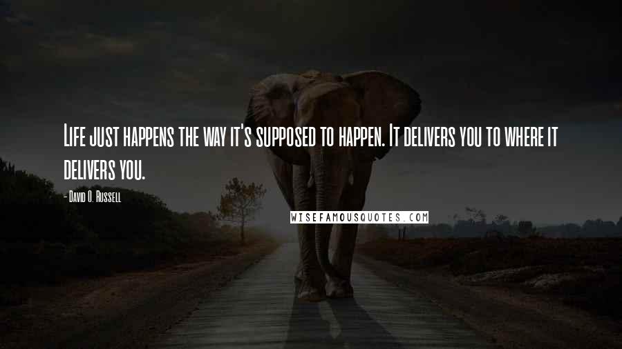 David O. Russell Quotes: Life just happens the way it's supposed to happen. It delivers you to where it delivers you.