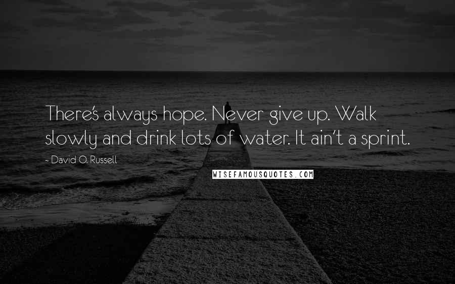 David O. Russell Quotes: There's always hope. Never give up. Walk slowly and drink lots of water. It ain't a sprint.