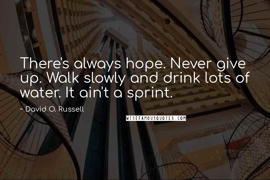 David O. Russell Quotes: There's always hope. Never give up. Walk slowly and drink lots of water. It ain't a sprint.