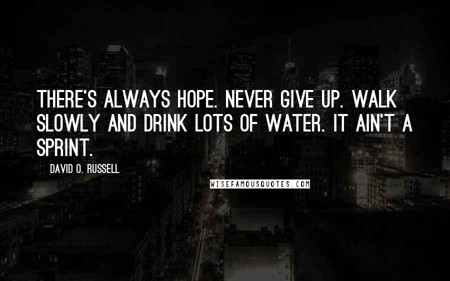 David O. Russell Quotes: There's always hope. Never give up. Walk slowly and drink lots of water. It ain't a sprint.