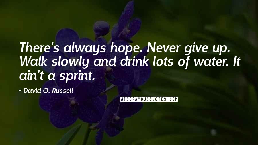 David O. Russell Quotes: There's always hope. Never give up. Walk slowly and drink lots of water. It ain't a sprint.