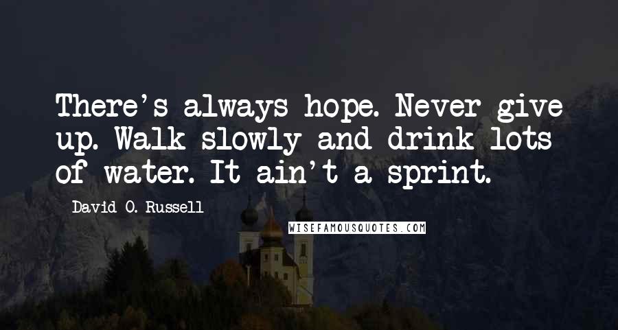 David O. Russell Quotes: There's always hope. Never give up. Walk slowly and drink lots of water. It ain't a sprint.