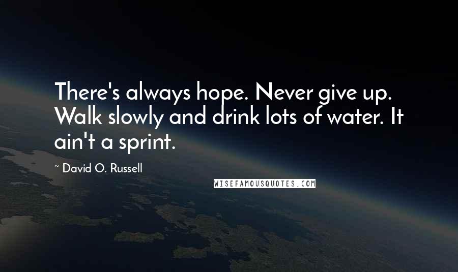 David O. Russell Quotes: There's always hope. Never give up. Walk slowly and drink lots of water. It ain't a sprint.
