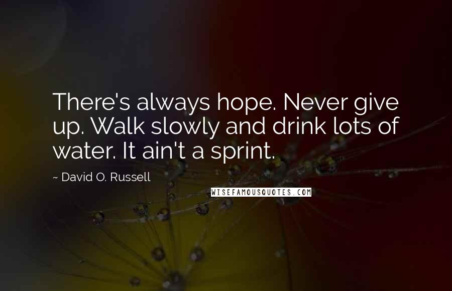 David O. Russell Quotes: There's always hope. Never give up. Walk slowly and drink lots of water. It ain't a sprint.