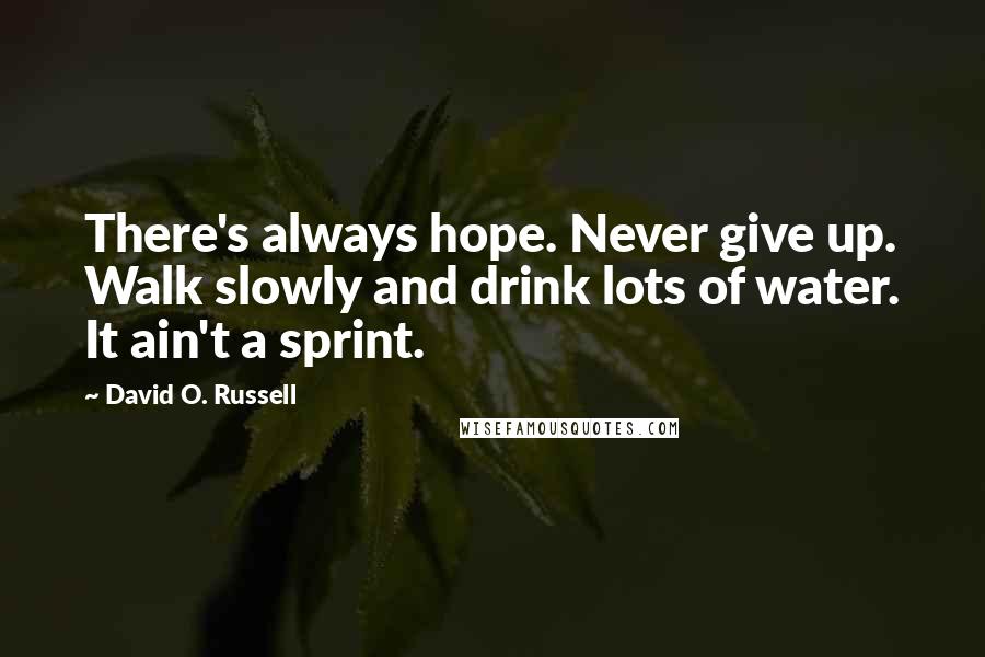 David O. Russell Quotes: There's always hope. Never give up. Walk slowly and drink lots of water. It ain't a sprint.