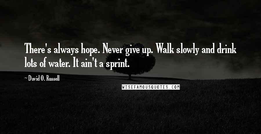 David O. Russell Quotes: There's always hope. Never give up. Walk slowly and drink lots of water. It ain't a sprint.