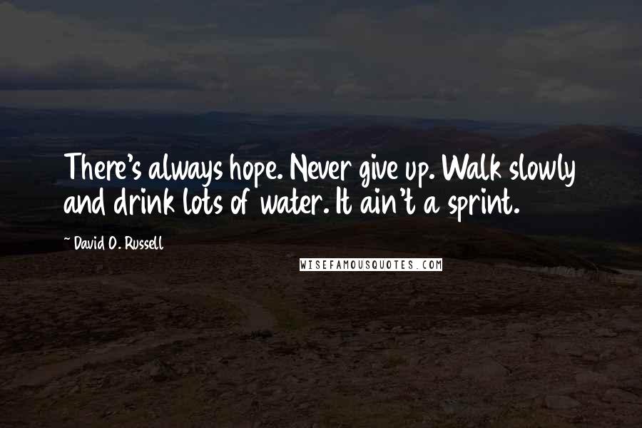 David O. Russell Quotes: There's always hope. Never give up. Walk slowly and drink lots of water. It ain't a sprint.
