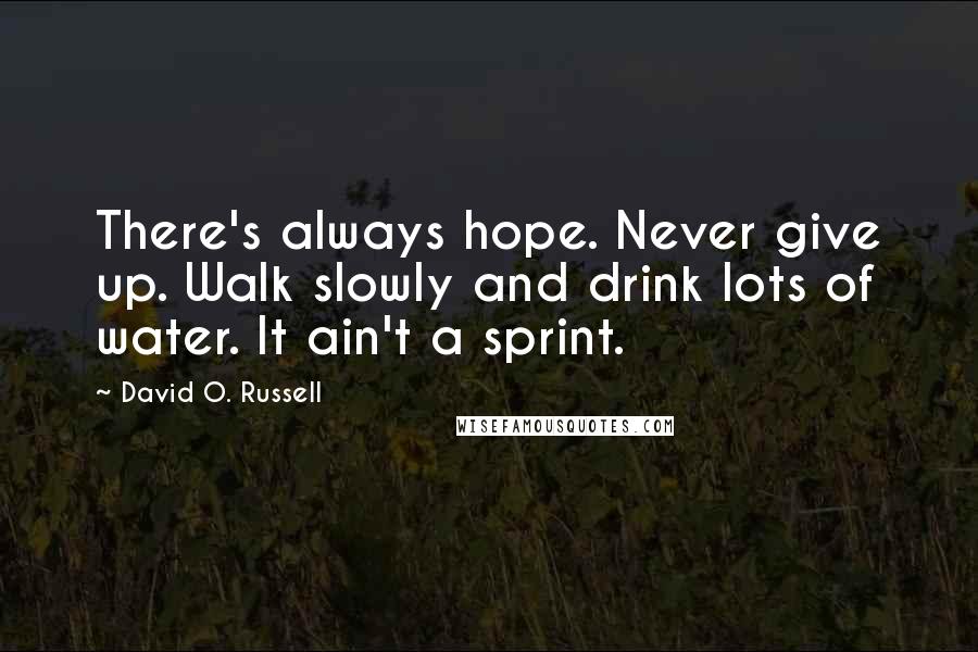 David O. Russell Quotes: There's always hope. Never give up. Walk slowly and drink lots of water. It ain't a sprint.