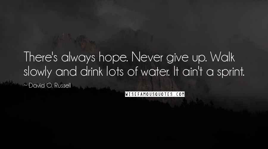 David O. Russell Quotes: There's always hope. Never give up. Walk slowly and drink lots of water. It ain't a sprint.