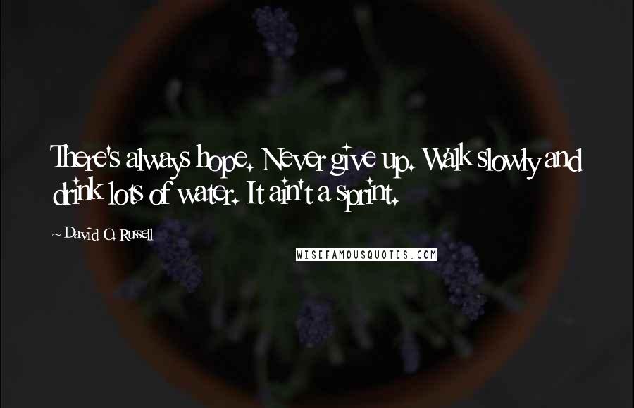 David O. Russell Quotes: There's always hope. Never give up. Walk slowly and drink lots of water. It ain't a sprint.