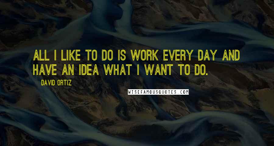 David Ortiz Quotes: All I like to do is work every day and have an idea what I want to do.