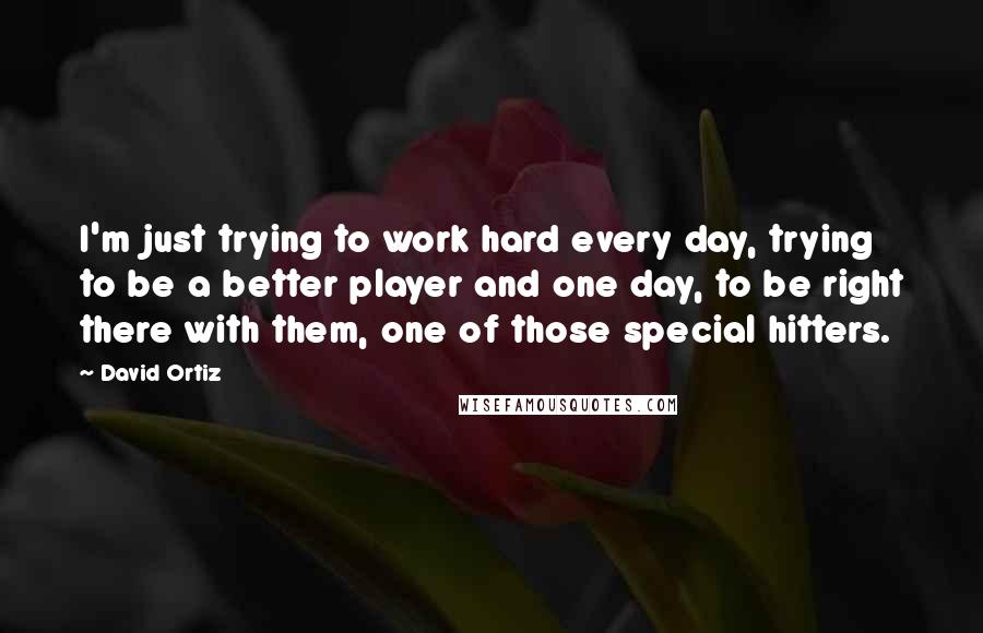 David Ortiz Quotes: I'm just trying to work hard every day, trying to be a better player and one day, to be right there with them, one of those special hitters.