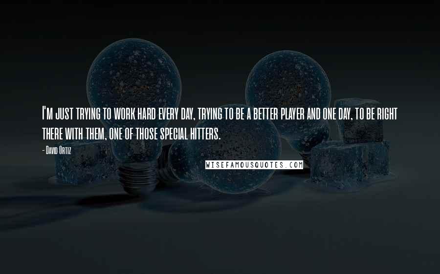 David Ortiz Quotes: I'm just trying to work hard every day, trying to be a better player and one day, to be right there with them, one of those special hitters.