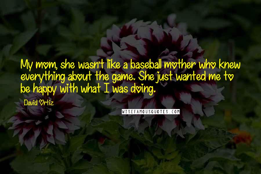 David Ortiz Quotes: My mom, she wasn't like a baseball mother who knew everything about the game. She just wanted me to be happy with what I was doing.