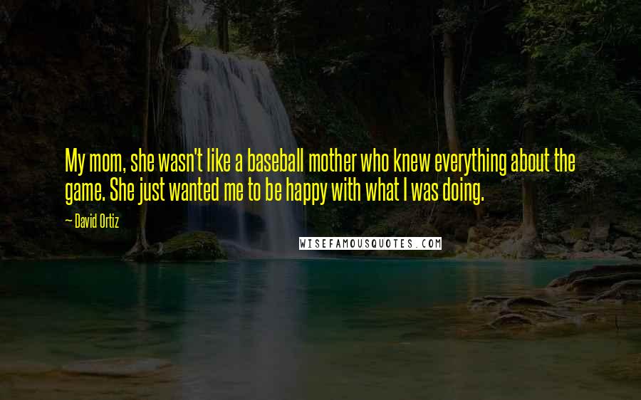 David Ortiz Quotes: My mom, she wasn't like a baseball mother who knew everything about the game. She just wanted me to be happy with what I was doing.