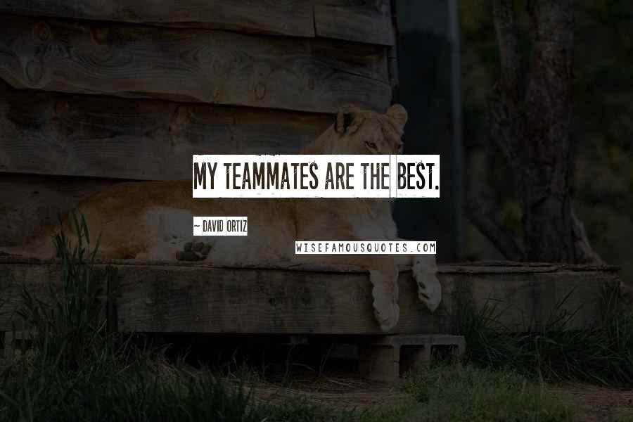 David Ortiz Quotes: My teammates are the best.