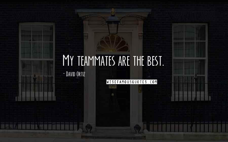 David Ortiz Quotes: My teammates are the best.
