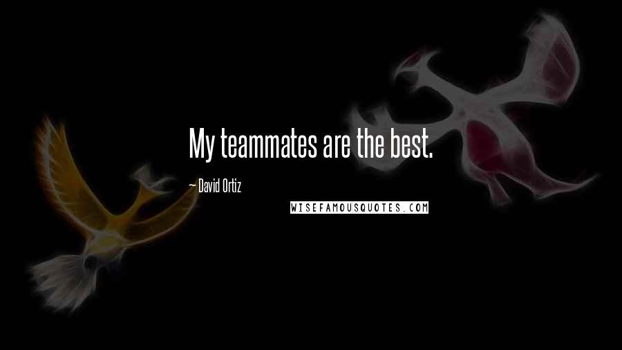 David Ortiz Quotes: My teammates are the best.