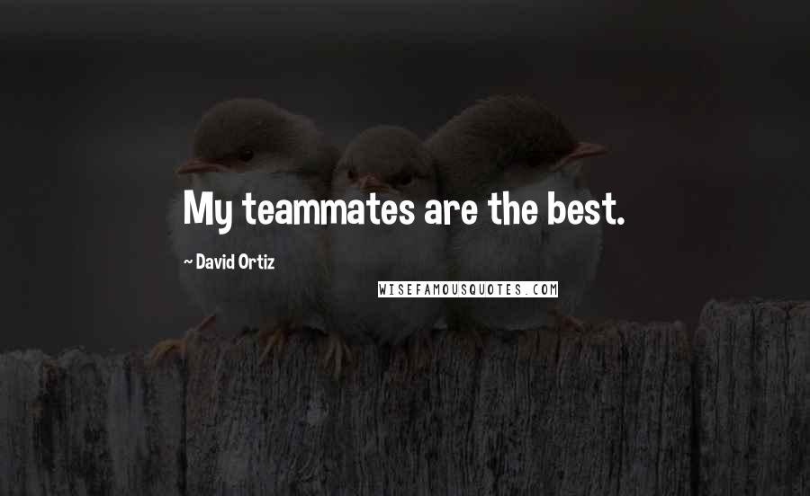 David Ortiz Quotes: My teammates are the best.